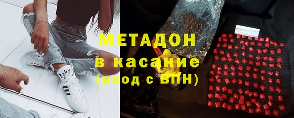 прущие грибы Россошь