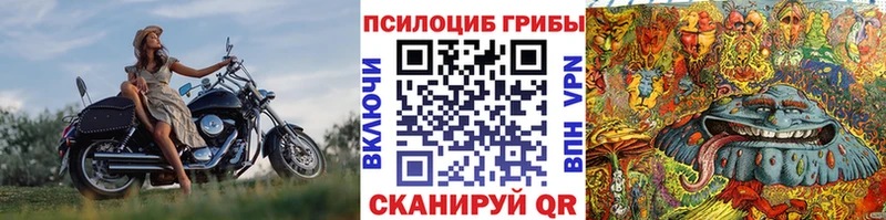 даркнет сайт  Инза  Псилоцибиновые грибы GOLDEN TEACHER 